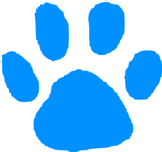 Paw Icon