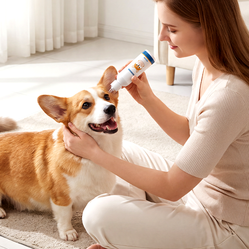 Corgi Ear Care