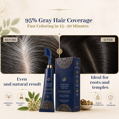 ⏳🔥LIMITED-TIME 50% OFF! ⏰Herbal Hair Dye Comb for Home Use💇‍♀️