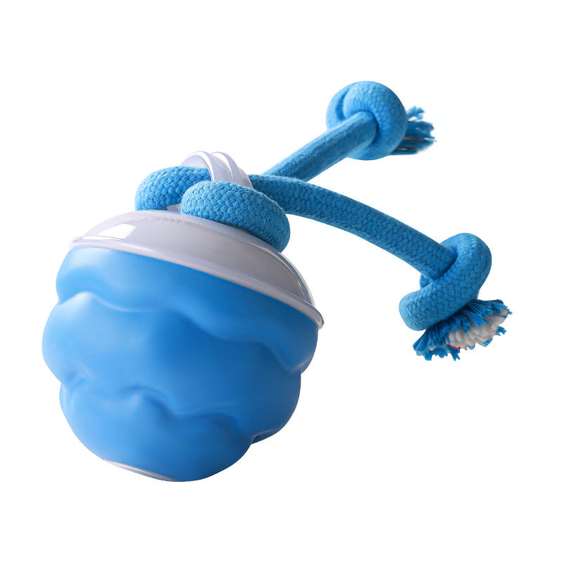 🎁Meet Christmas 50% OFF🎄Interactive Electronic Pet Soothing Toy Ball