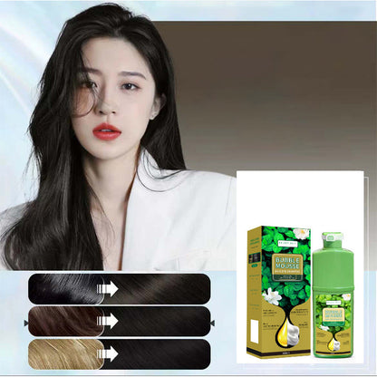 💈50% OFF NOW! Long-Lasting Plant-Based Foam Hair Dye, Bubble Mousse Hair Dye Shampoo, Easy At-Home Hair Color, Gentle Formula for Gray Hair Coverage