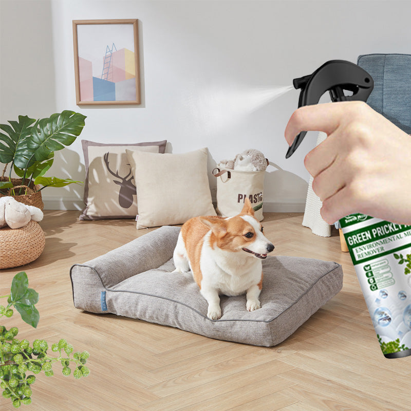 ✨Buy More Get More Free✨ Power Insect Repellent Spray