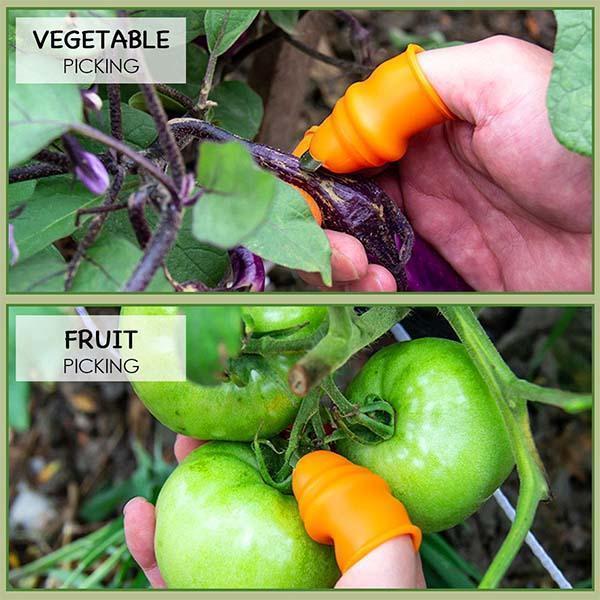 🌿👍 Thumb Knife for Gardening – Stainless Steel Finger Cutter for Vegetable, Fruit & Flower Harvesting