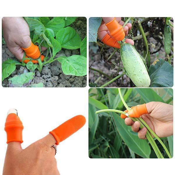 🌿👍 Thumb Knife for Gardening – Stainless Steel Finger Cutter for Vegetable, Fruit & Flower Harvesting
