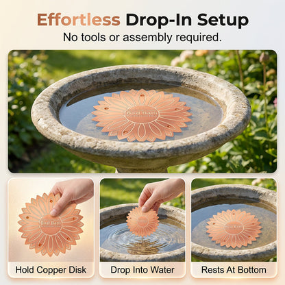 Pure Copper Bird Bath Purification Disk