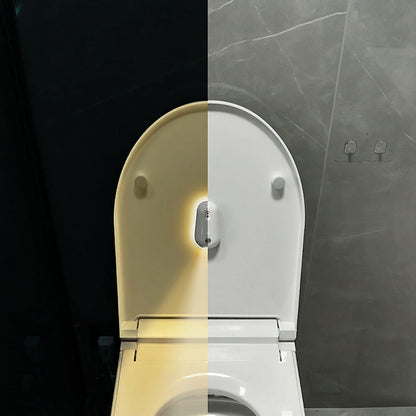 Motion-Sensing Rechargeable Toilet Night Light