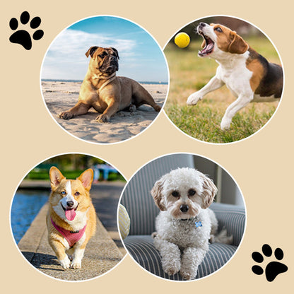 4PCS Non-Slip Waterproof Disposable Paw Pads for Dog