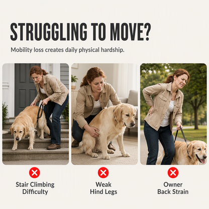 Adjustable Dog Rear Leg Support Harness