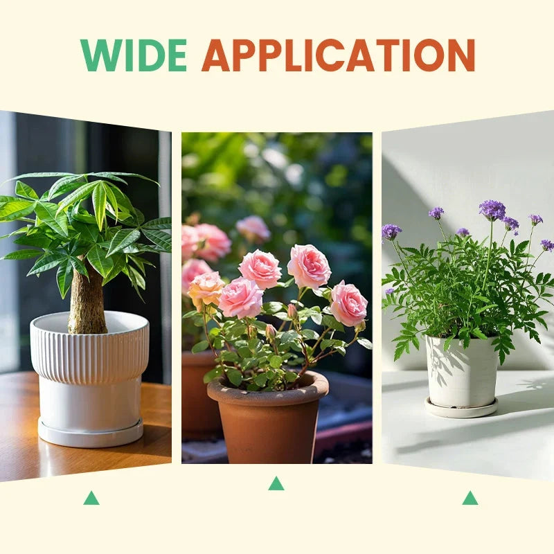 🎃Buy 1 Get 1 Free!🌱Adjustable Bottle Watering Spike – Gravity-Fed Dripper for Plant Pots