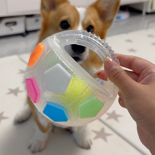Interactive Dog Calming Ball with Handle